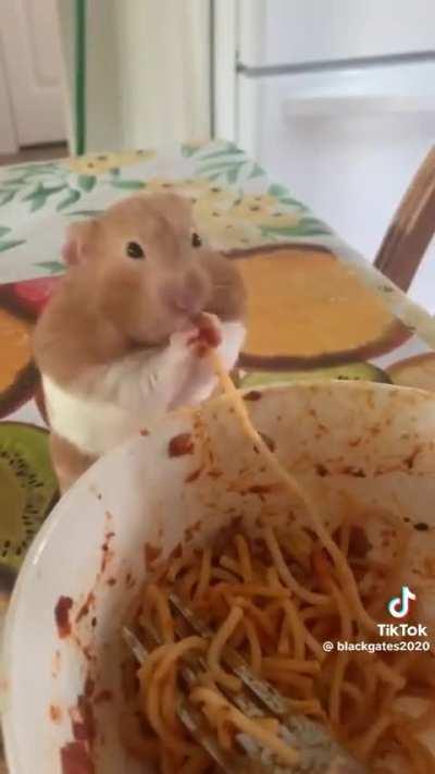 and me worrying about balanced food