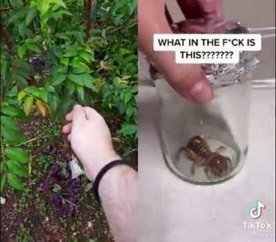 After COVID, we must be prepared for everything.