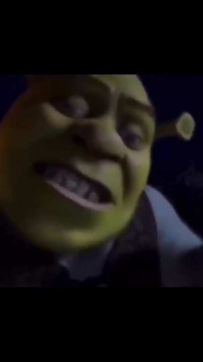 I don't remember this scene from Shrek?