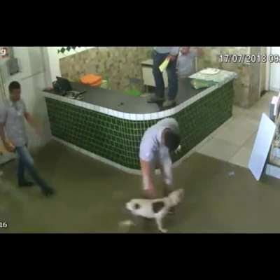 She just wants to be pet!