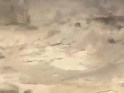 [Kan var açmayın] şu amk sürüngenleri iyi ki silinmiş dünyadan