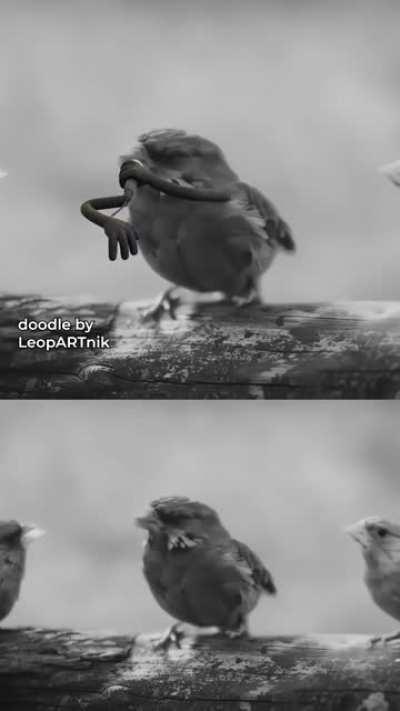 🐦 UNEXPECTED TWEET 🐦