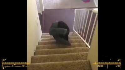 Me after finishing dead money