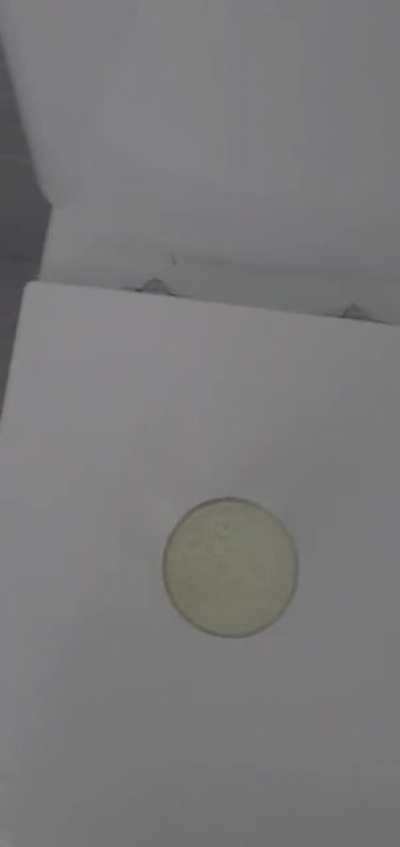 I said I'd drink my own piss if we broke and closed above $200. Well here you go now if you'll excuse me I need to go and be sick.