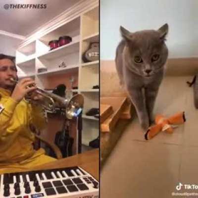 Thought the lord and lady would like this