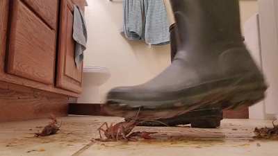 🌜Luna rubber-boots huntress