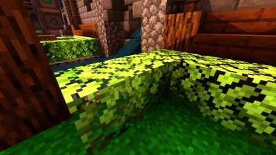 Opened Minecraft and didnt know how beautiful Bushes could be