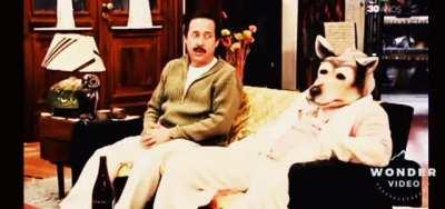 Te gusta lastimar a otras personas papucho?