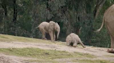 There was an attempt