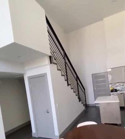 There's nothing more fun than playing with your dog