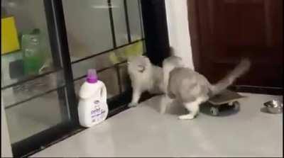 Надвигающийся конфликт