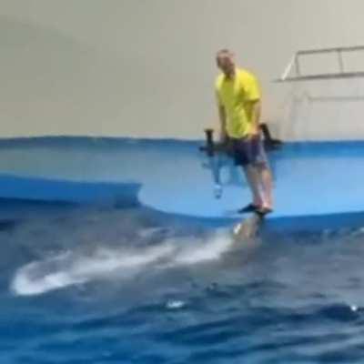 Unfortunately, this is a coach..!!