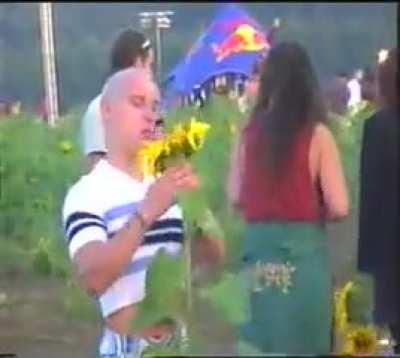 When you can't feel the sunflower