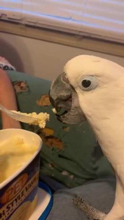 Angel likes her vanilla ice cream