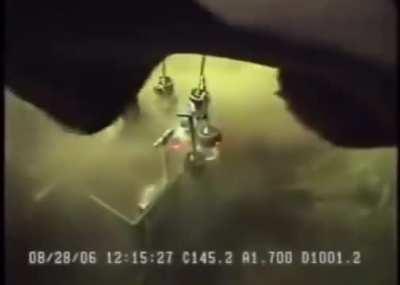 Massive 6-gill Shark at 3,300 feet depth.