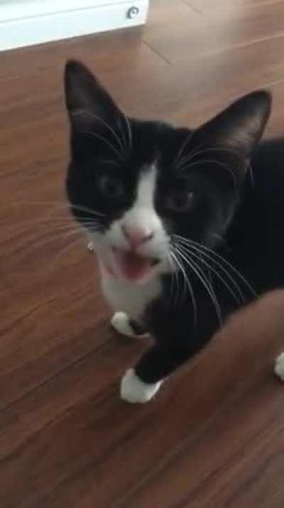 I think the answer was yes...