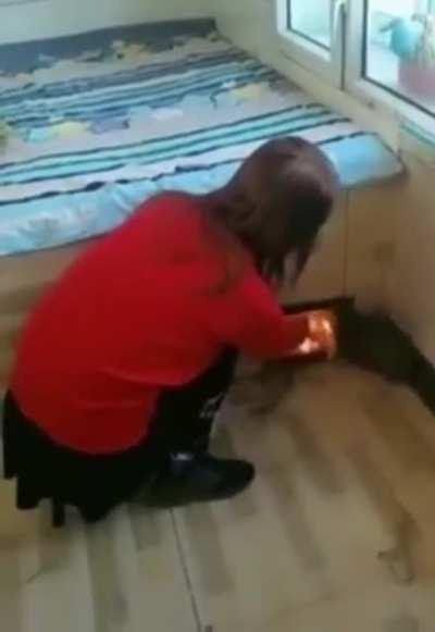 Heated beds can be common in rural parts of rural China where winter temps can drop to as low as -52 Celsius. Heated brick platforms named Kangs can be used for sleep, cooking and sitting.