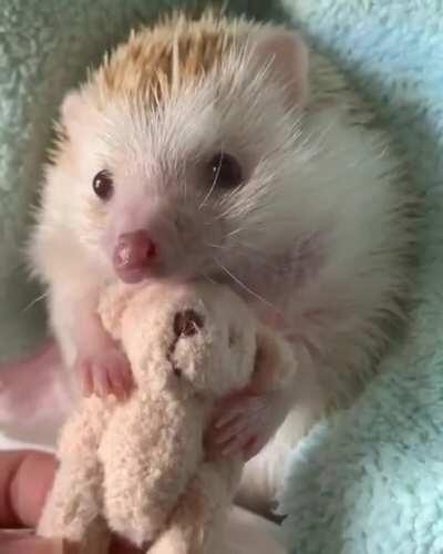Hedgehug