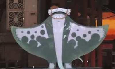 it's flap flap friday