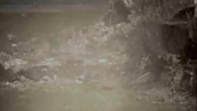 U.S. Army troops engage in house-to-house combat with Japanese forces in the city of Manila, Philippines (February 1945)