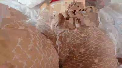 🚨FREE EXCLUSIVE🚨