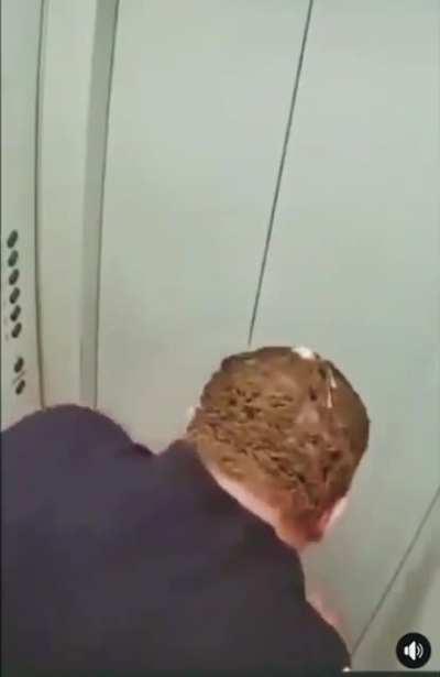 HMB, While I Take a Shot in the Elevator