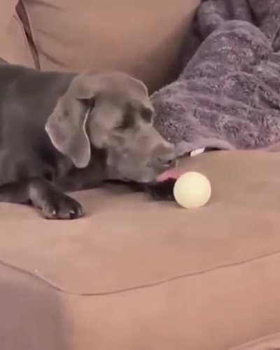 When no one will throw the ball