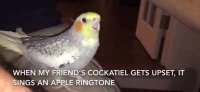 They are getting more advanced ￼( 