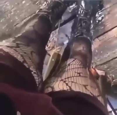 Women when I tell them I’m Albanian