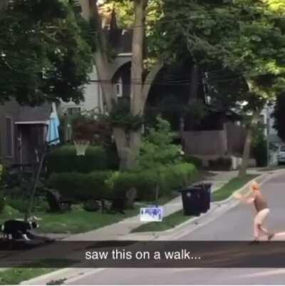 Basketball with pupper