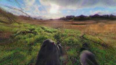 lsd dreams: safe haven