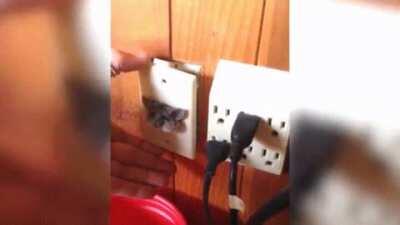 This man is imprisoning the cat😭