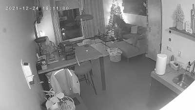 When the bell rings during an intense gaming session. Yes, I felt that for a few hours.