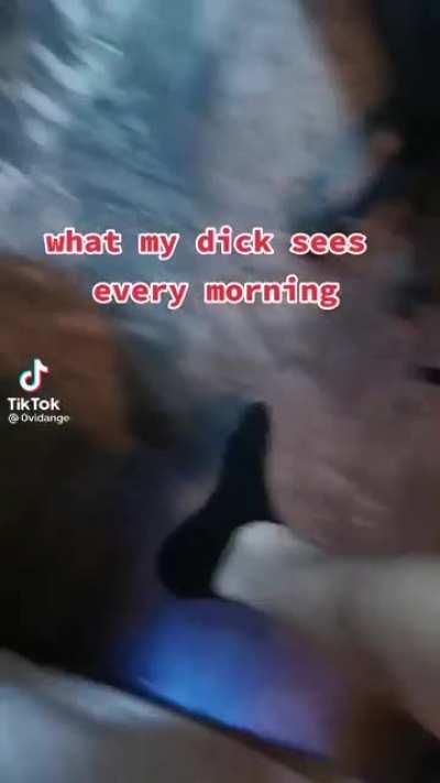 Утро рекабушника