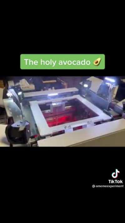 The Holy Avocado