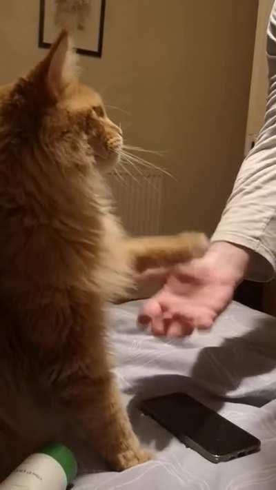  Asimov found the braincell! 