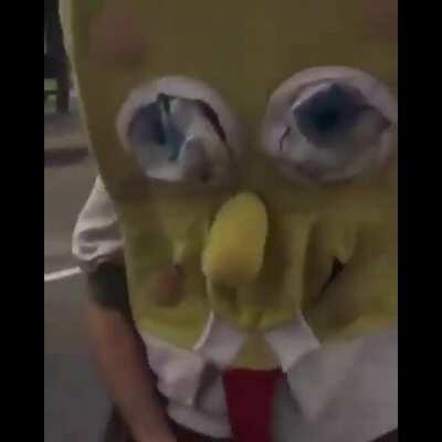 Bob esponja tu vieja