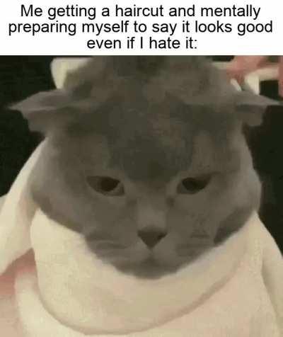 It would be rude to criticise