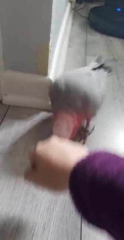 She eventually got the point...