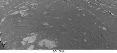 Persivearance roving.