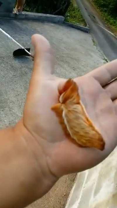 Que fofinha pra caralho