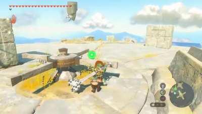 That's a pretty bird, lemme take a pic-