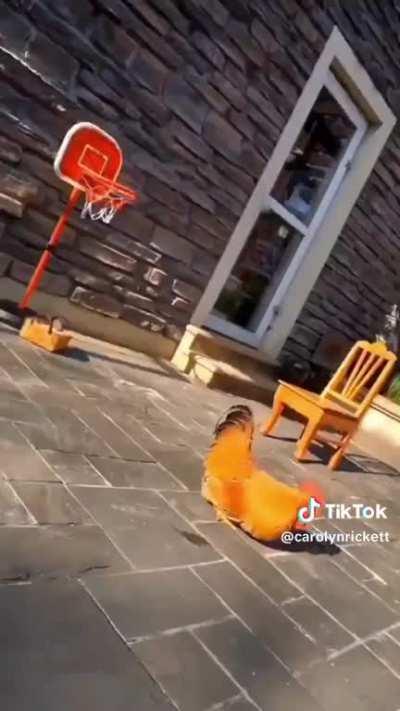 She regularly posts stuff like this, and it kills me every time.