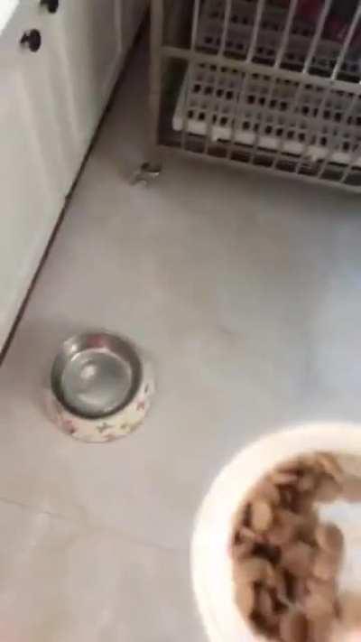 Ты это блять серьезно?