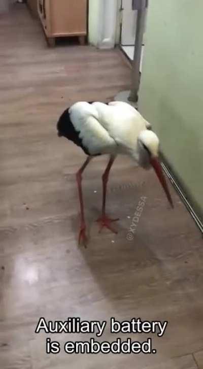 Evidence of researches in Ukrainian biological laboratory.