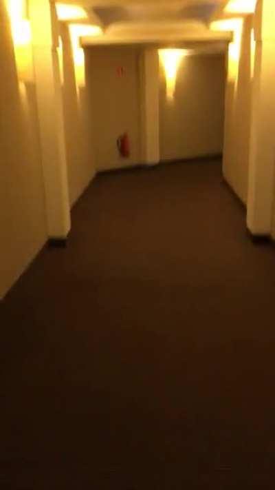 I do not wish to go into the black