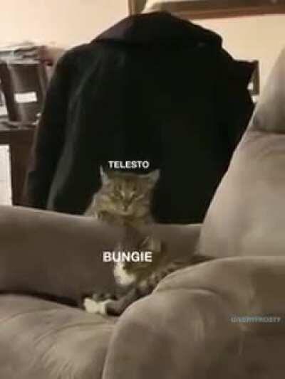 Telesto crawling its way back from the grave every season