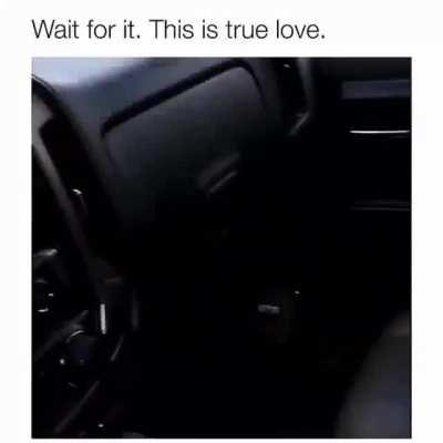 We all deserve someone who would look at us like this