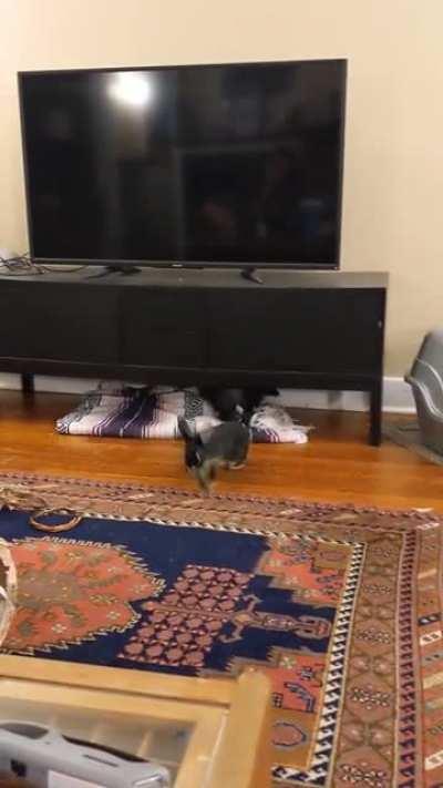 I could watch this all day!