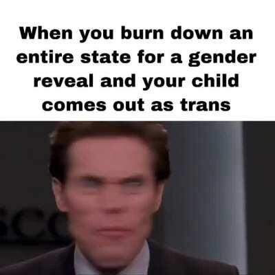 I made u/D-W-06’s post with the actual clip from the movie